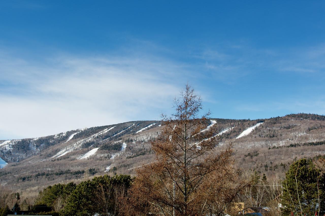 Le Vallon Saint-Ferreol-les-Neiges Exterior foto